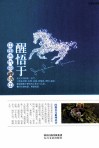 醒悟于中国古代的禅诗中 封面