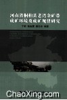 河南省桐柏县老湾金矿带成矿环境及成矿规律研究 封面