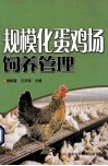 规模化蛋鸡场饲养管理 封面