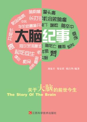 大脑纪事 封面