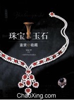 珠宝玉石鉴赏与收藏 电子书封面
