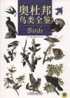 奥杜邦鸟类全鉴 封面