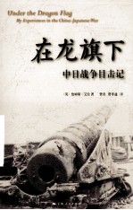 在龙旗下  中日战争目击记 封面