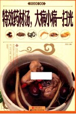 特效药材汤，大病小病一扫光 封面