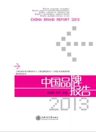 中国品牌报告  2013 封面