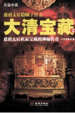 大清宝藏  2 封面