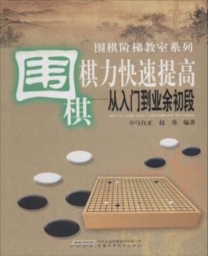 围棋棋力快速提高  从入门到业余初段 封面