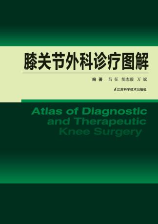 膝关节外科诊疗图解 封面