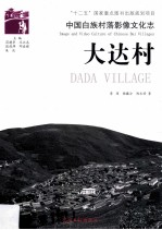 大达村 封面