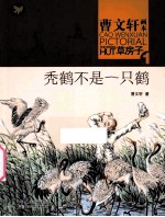 秃鹤不是一只鹤 封面