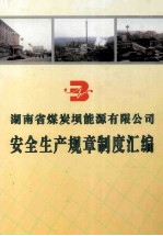 湖南省煤炭坝能源有限公司 封面