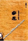 容忍  相信没有到不了的明天 封面
