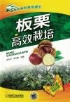 板栗高效栽培 封面