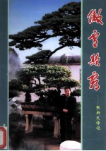 傲雪欺霜-张新文传记 封面