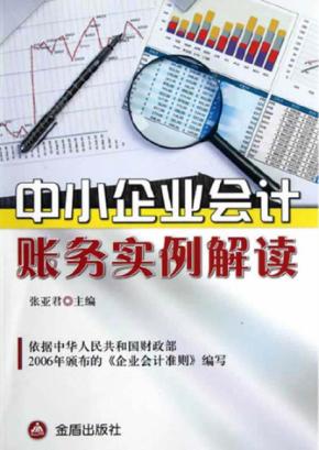 中小企业会计账务实例解讯 封面