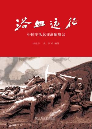 浴血远征  中国军队远征滇缅战记 封面