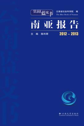 2012-2013南亚报告 封面