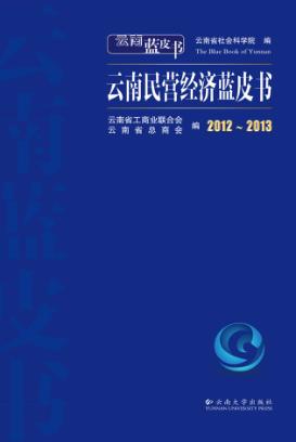 2012-2013云南民营经济蓝皮书 封面