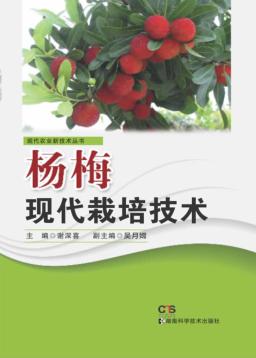 杨梅现代栽培技术 封面