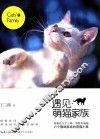 遇见 封面