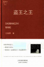 盗王之王 封面