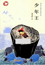 少年王 封面