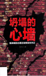 坍塌的心墙  精神病院心理咨询师亲历手记 封面