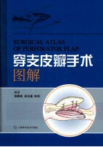 穿支皮瓣手术图解 封面