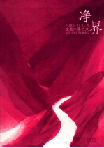 净界  沈勤水墨艺术 封面