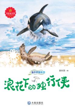 浪花下的独行侠 封面