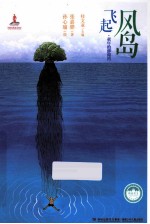 风岛飞起  童年的澎湖湾 封面