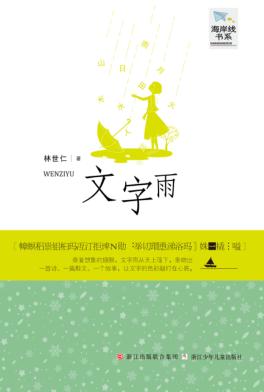 文字雨 封面