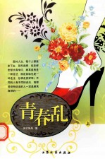 青春乱  上 封面