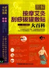 图解按摩艾灸刮痧拔罐敷贴大百科 封面