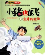 意外的礼物 封面