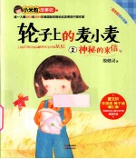 轮子上的麦小麦  2  神秘的来信 封面