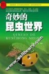 奇妙的昆虫世界 封面