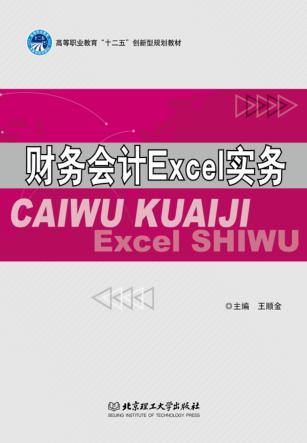财务会计Excel实务 封面