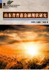 山东省普惠金融现状研究 封面