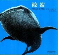 鲸鲨 封面