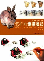 怎样画素描淡彩 封面