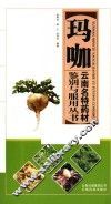 玛咖 封面