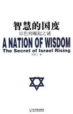 智慧的国度  以色列崛起之谜 封面