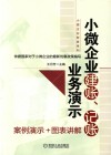 小微企业建账、记账业务演示 封面