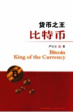 货币之王比特币 封面