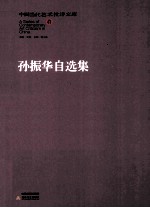 孙振华自选集 封面