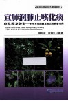 宣肺润肺止咳化痰中草药及处方  不可不知的肺及相关疾病必用药 封面