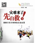 灾难来了先自救 图解日常灾难事故应急处置 封面