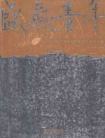 盛卸青年  2011年中国当代新锐艺术家作品集 封面