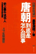 唐朝到底是怎么回事  4  玄宗盛世 封面